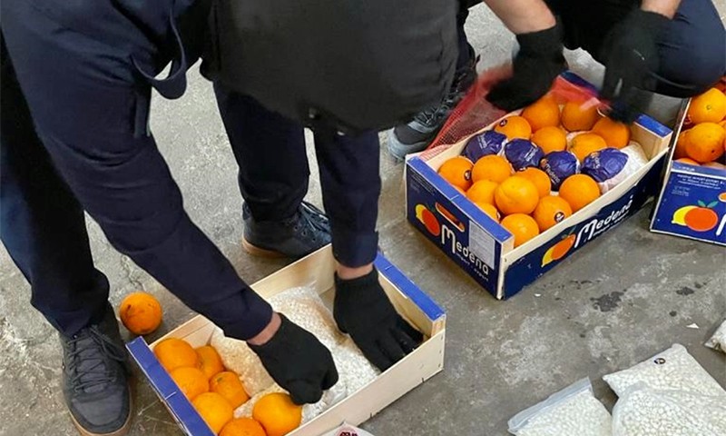 الجمارك اللبنانية أعلنت عن ضبط شحنة كبتاغون معدة للتهريب ضمن فاكهة الحمضيات